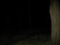 Chicago Ghost Hunters Group investigates Bachelors Grove (65).JPG